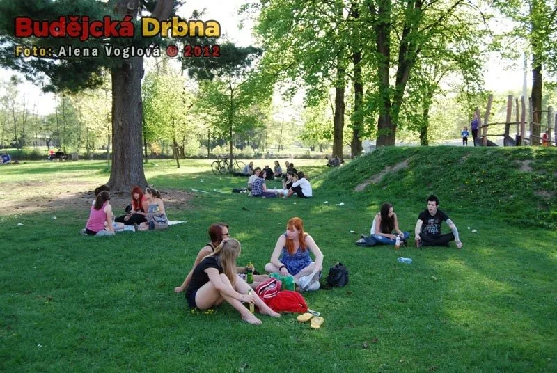 Odpočívání ve stínu stromů