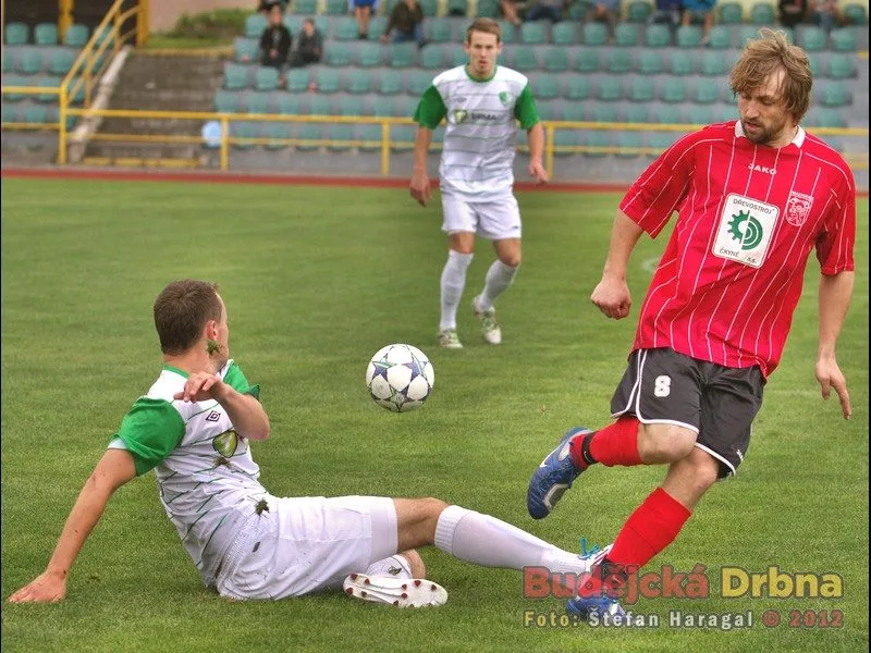 Prachatický Šicner si na obranný zákrok Bíci nepřišel