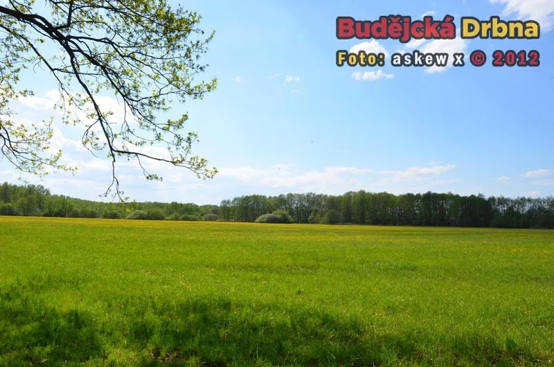 Přírodní rezervace Vrbenské rybníky
