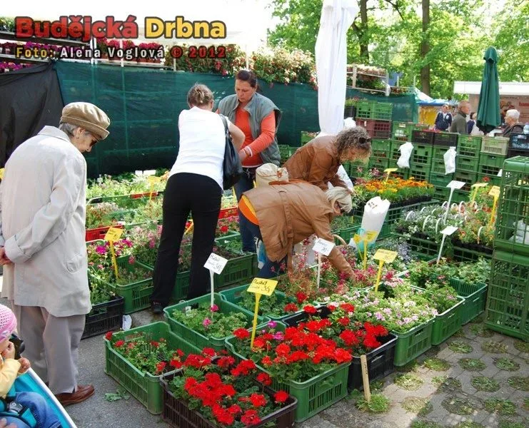 Všude byla spousta květin a lidí