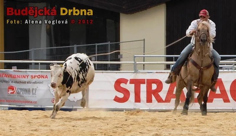 Rodeo show