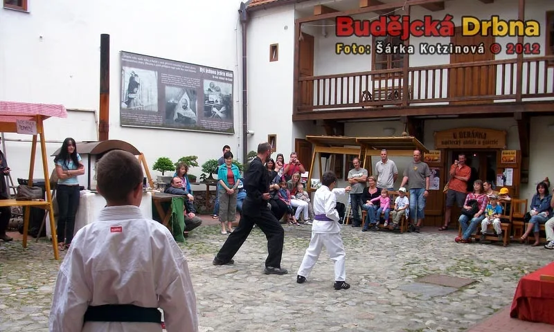 Japonské kulturní dny v domě U Beránka