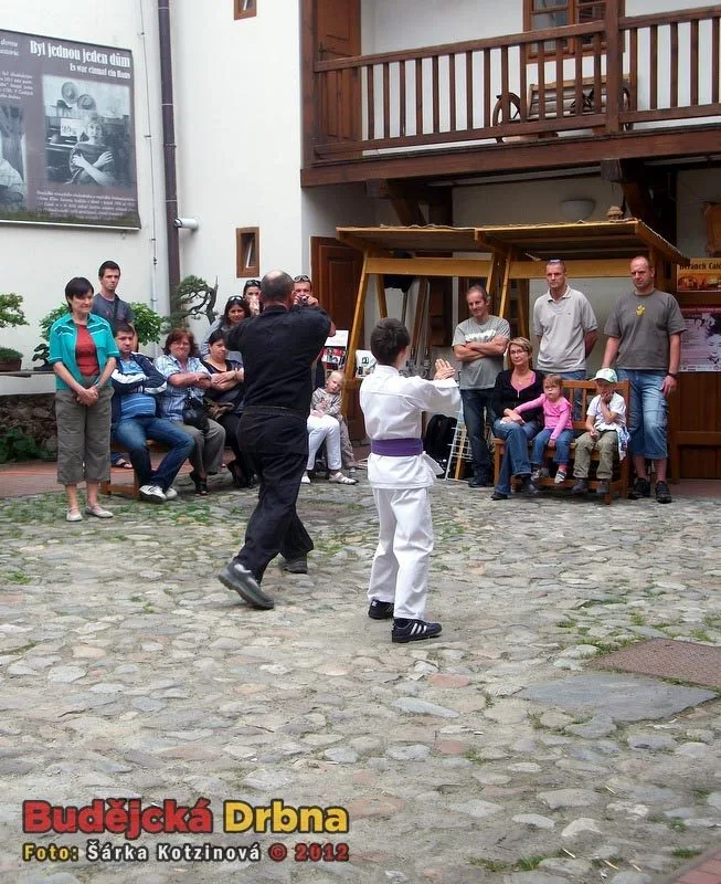 Japonské kulturní dny v domě U Beránka
