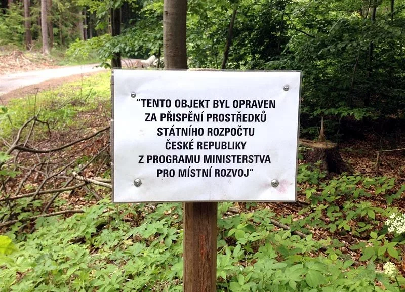 Cedulka uprostřed lesa