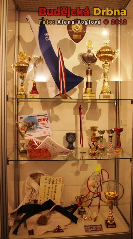 Úspěchy sokolů ve sporu dokazuje mnoho ocenění