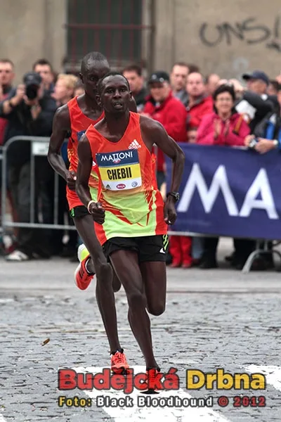 IMattoni 1/2Maraton České Budějovice