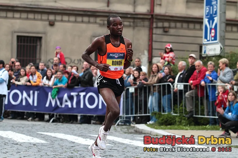 Mattoni 1/2Maraton České Budějovice