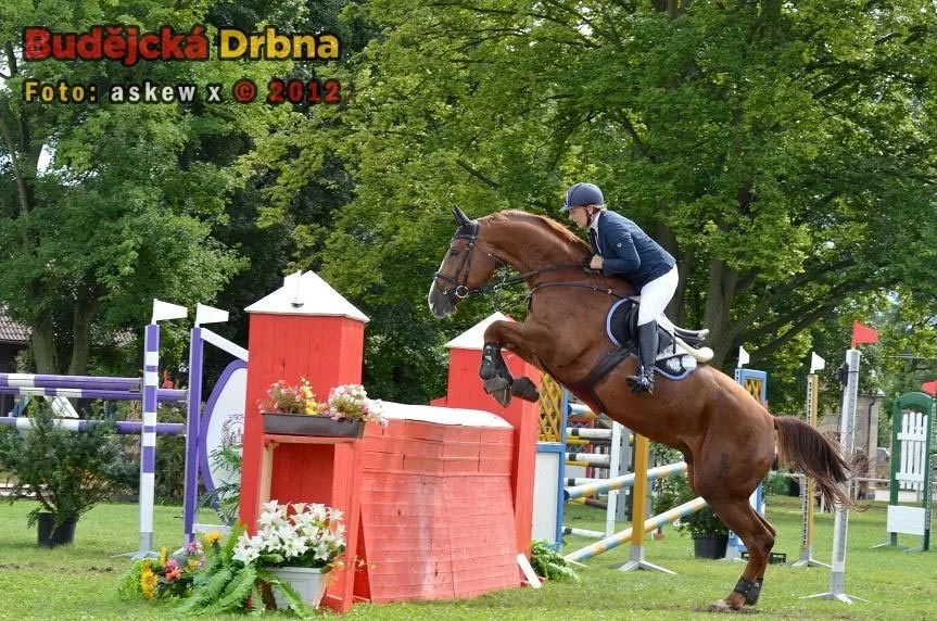 Velká cena Města Hluboká nad Vltavou 2012