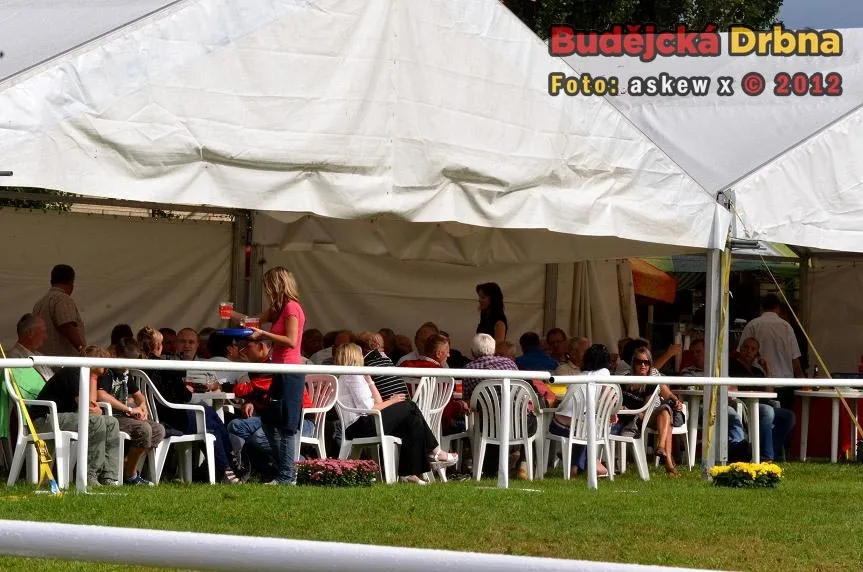 Velká cena Města Hluboká nad Vltavou 2012 058