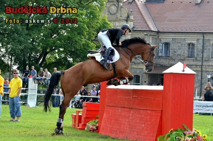 Velká cena Města Hluboká nad Vltavou 2012 134
