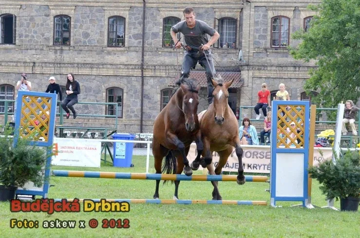 Miloslav Simandl se svými koňmi Denym a Apawi