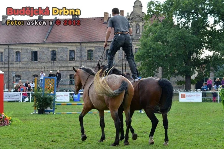 Miloslav Simandl se svými koňmi Denym a Apawi