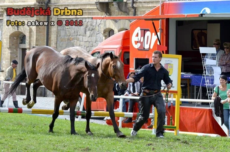 Miloslav Simandl se svými koňmi Denym a Apawi
