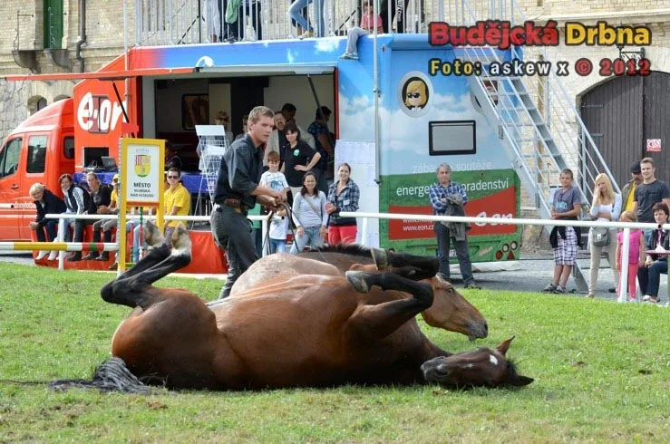 Miloslav Simandl se svými koňmi Denym a Apawi