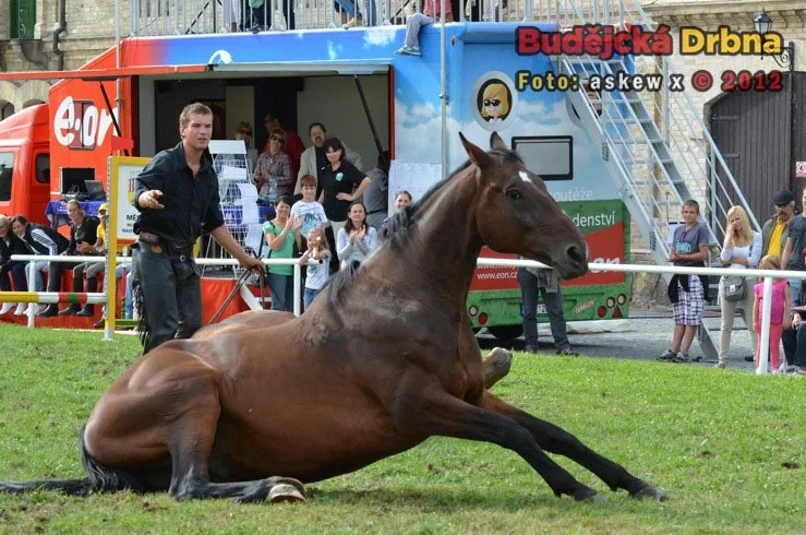 Miloslav Simandl se svými koňmi Denym a Apawi