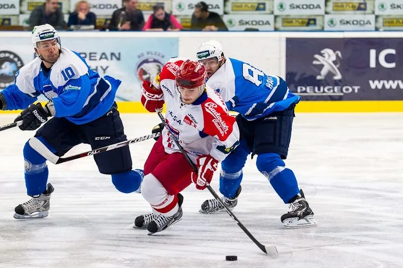 HC Plzeň 1929 - HC Mountfield 5:3
