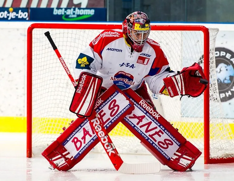 HC Plzeň 1929 - HC Mountfield 5:3