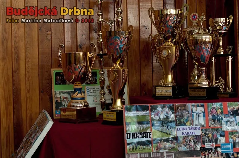Nábor dětí do přípravky TJ Karate České Budějovice