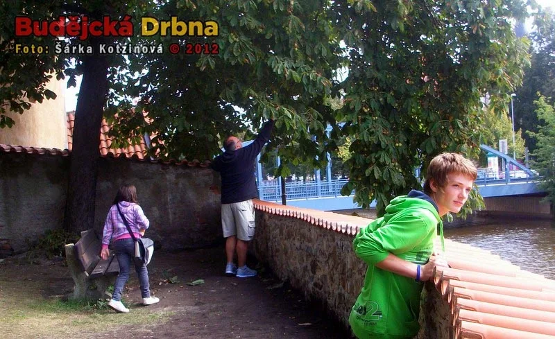 Biskupská zahrada