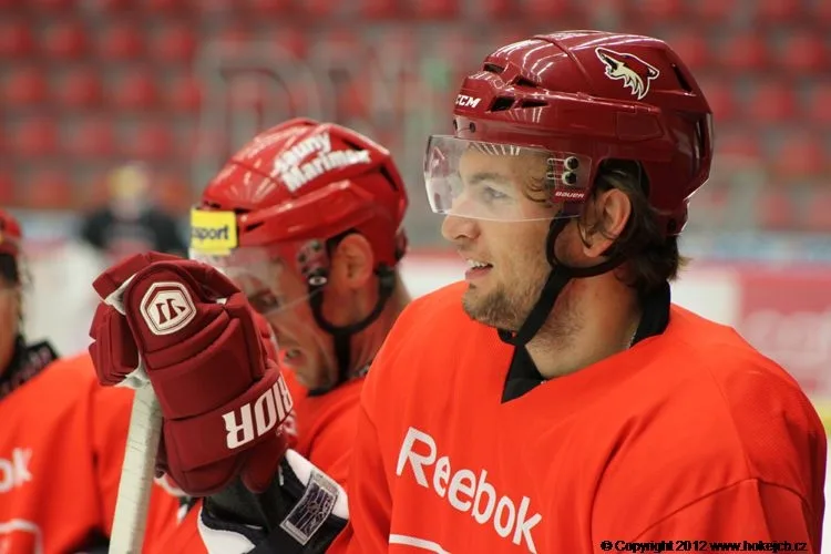 Martin Hanzal