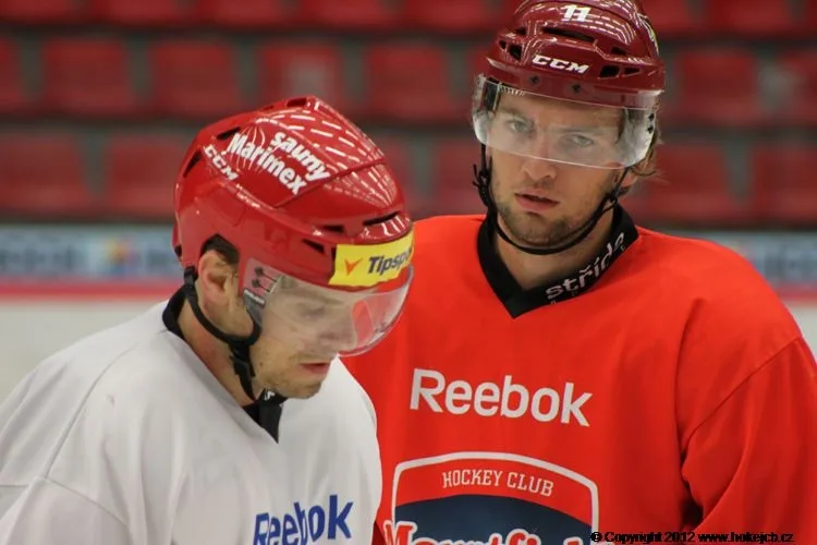 Milan Michálek (vlevo) a Martin Hanzal