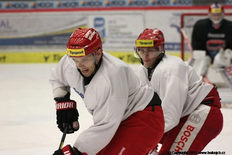 Milan Michálek (v popředí) se dnes na Slavii, stejně jako jeho parťák Martin Hanzal, neobjeví