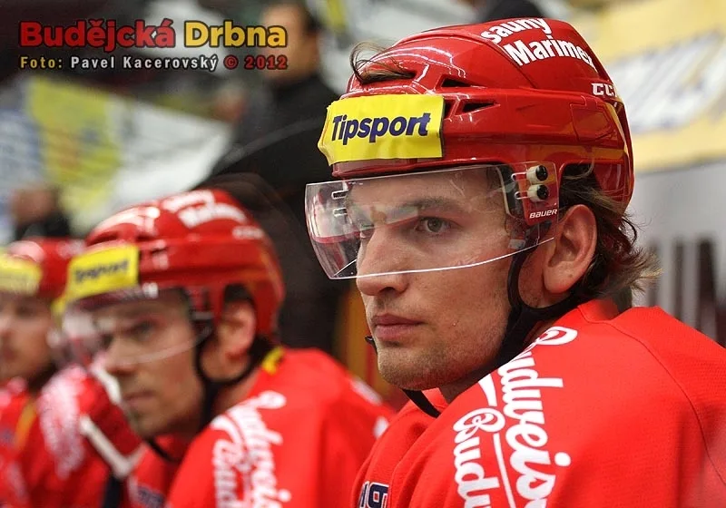 Martin Hanzal