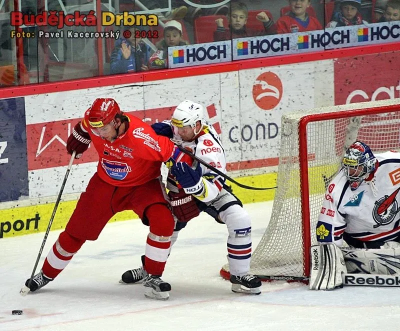 Martin Hanzal se dere před Kostúrovu branku, brání ho Michal Důras