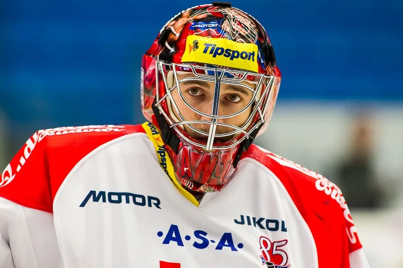 HC Škoda Plzeň - HC Mountfield 3:2SN