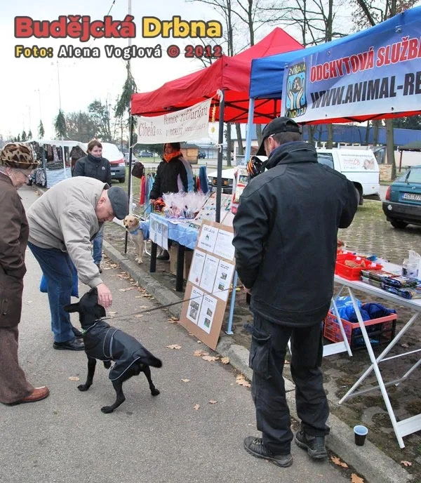 Stánek odchytové služby Animal Rescue