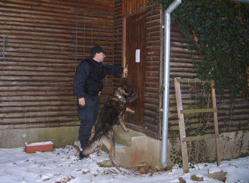 Policisté kontrolovali chaty společně se psy