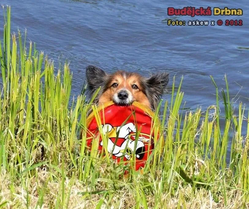 Ilustrační foto