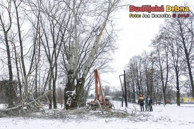 Kácení topolů v parku Na Dlouhé louce