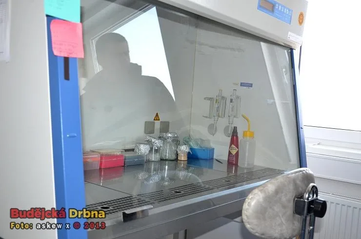 V jedné z laboratoří JVTP