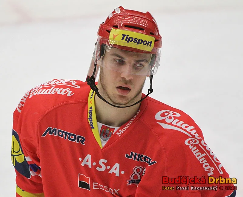 Stabilně dobré výkony podává v dresu HC Mountfield mladý útočník Jakub Suja