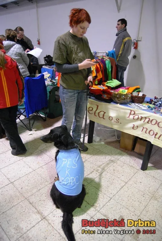 Mohli jste i pomoci dobré věci