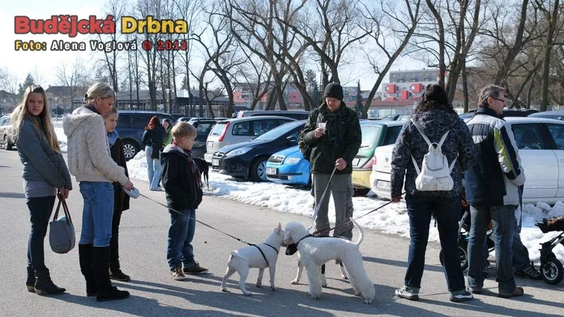 Počasí výstavě přálo