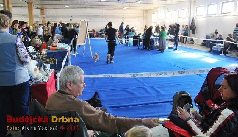 Vystavovatelé si den vyloženě užívali