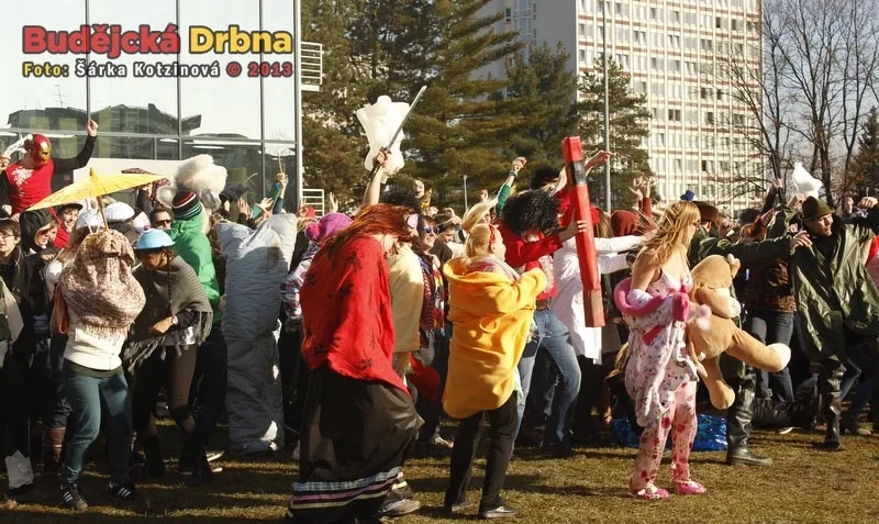 Harlem Shake studentů Jihočeské univerzity