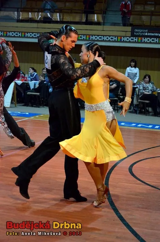 Mistrovství jižních Čech 2013 v tanečním sportu