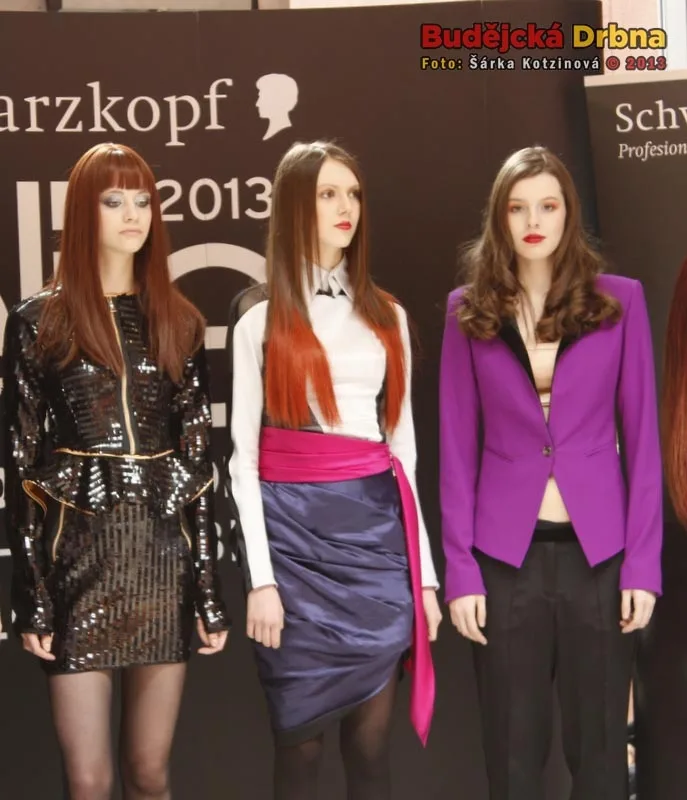 Schwarzkopf Elite Model Look 2013
