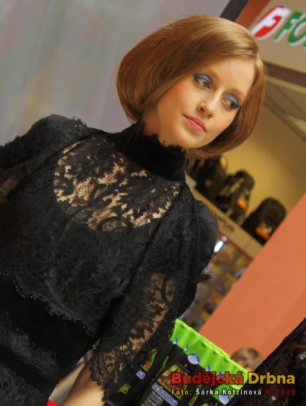 Schwarzkopf Elite Model Look 2013