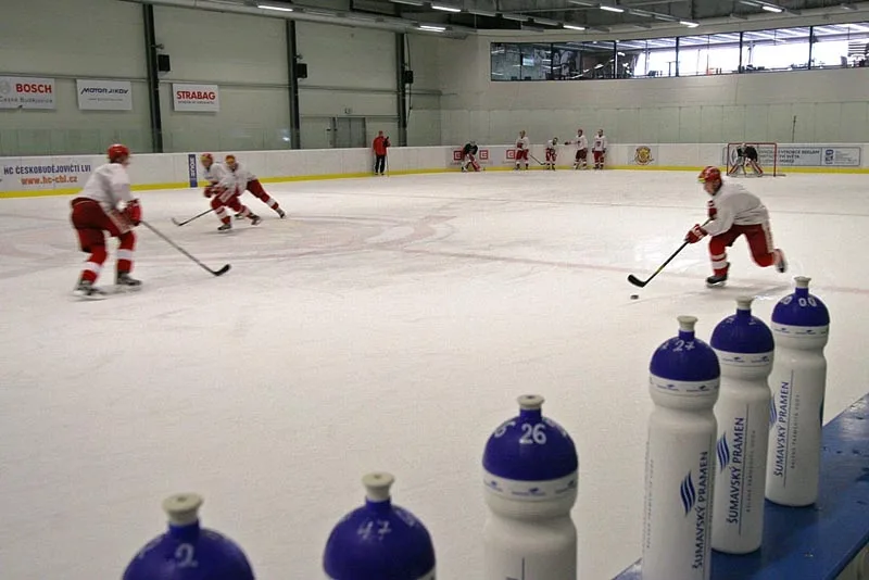 Letní příprava HC Mountfield v Hokejovém centru Pouzar