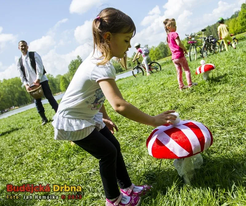 Do pohádky s králíky 2013