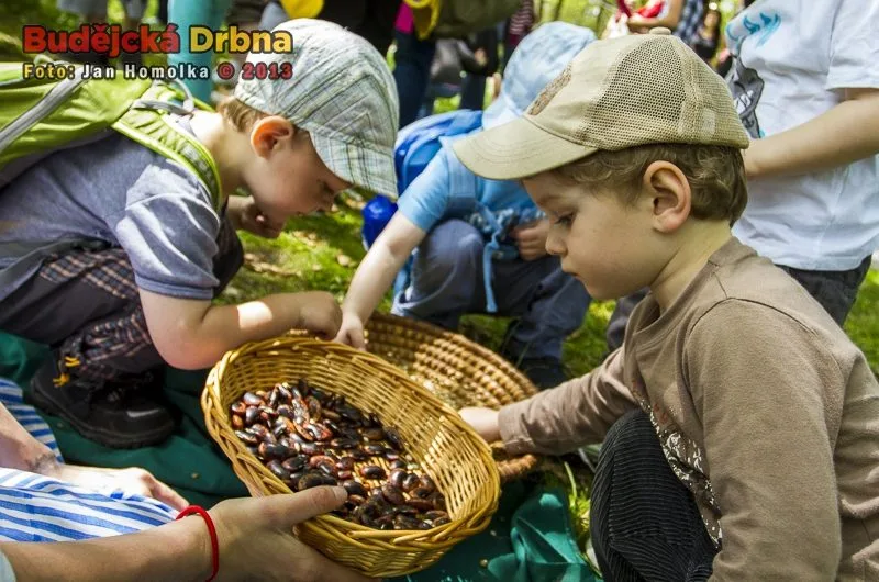 Do pohádky s králíky 2013
