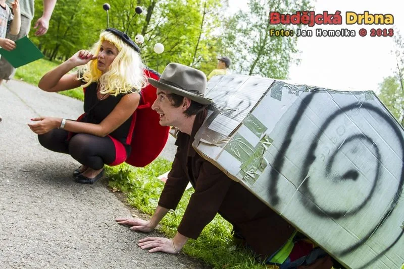 Do pohádky s králíky 2013