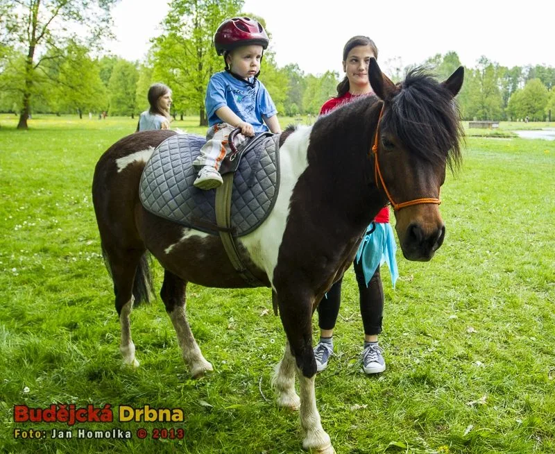 Do pohádky s králíky 2013