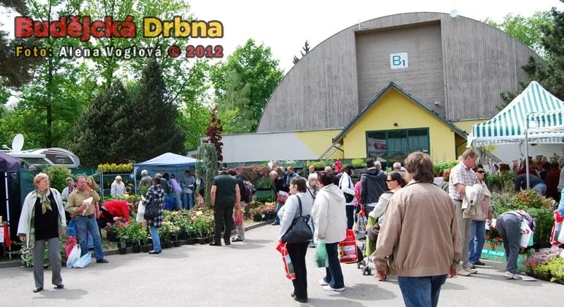 Výstava Hobby v roce 2012