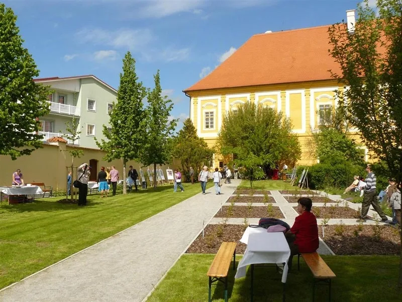 K vidění je osm druhů kanadských borůvek