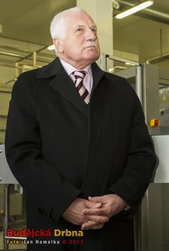 Bývalý prezident České republiky a zakladatel ODS Václav Klaus